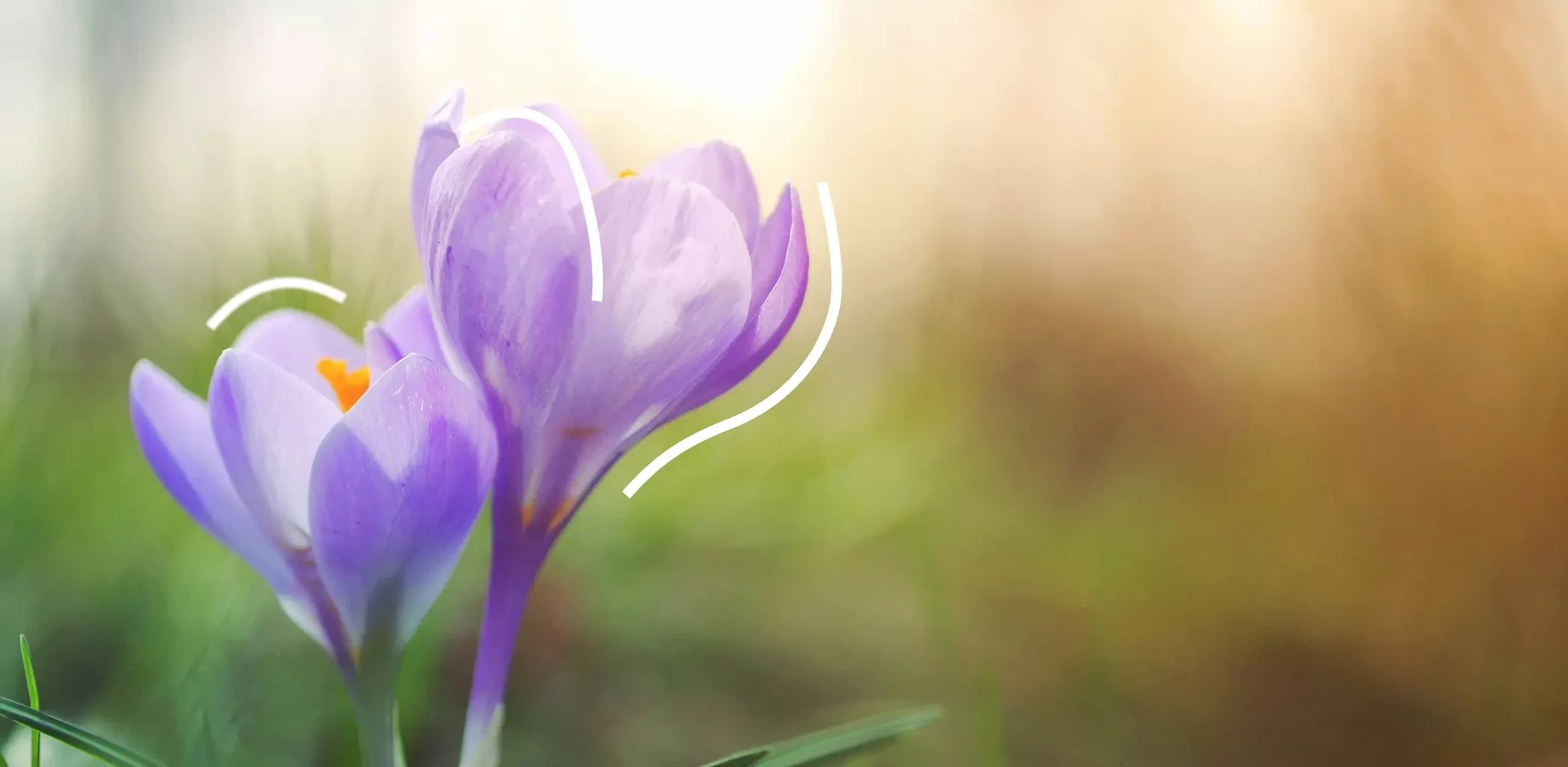 Форум PROESTATE