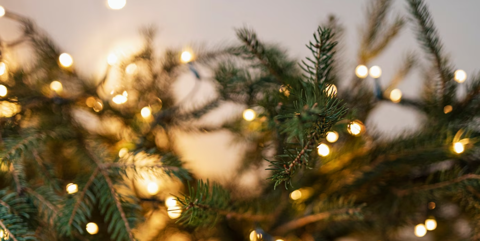 Какой срок рассмотрения заявки на консультацию в новогодние праздники?