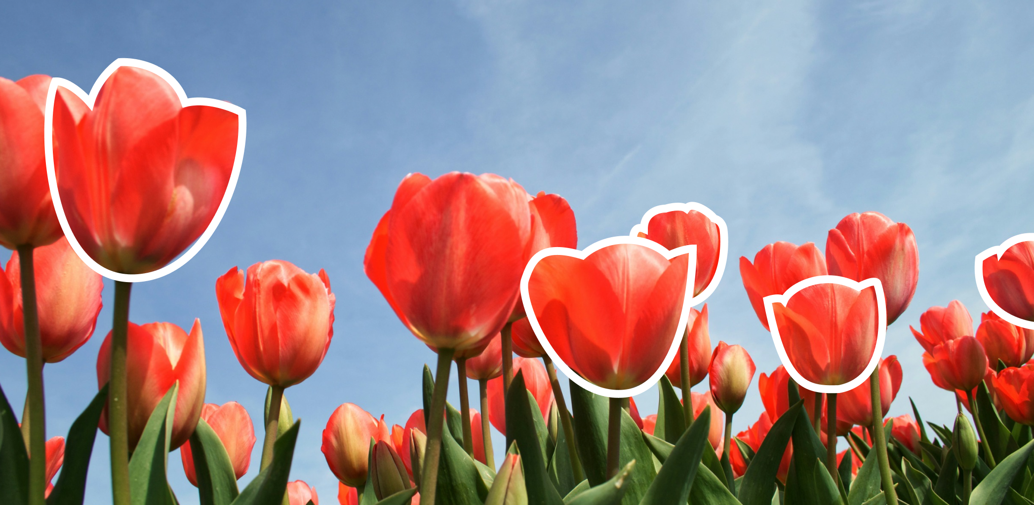 Как переехать в Казань: выбираем район для комфортной жизни 