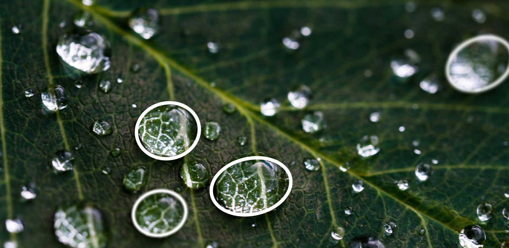 Иллюстрация к статье - Что такое публичная кадастровая карта и как её использовать Что такое публичная кадастровая карта и как её использовать