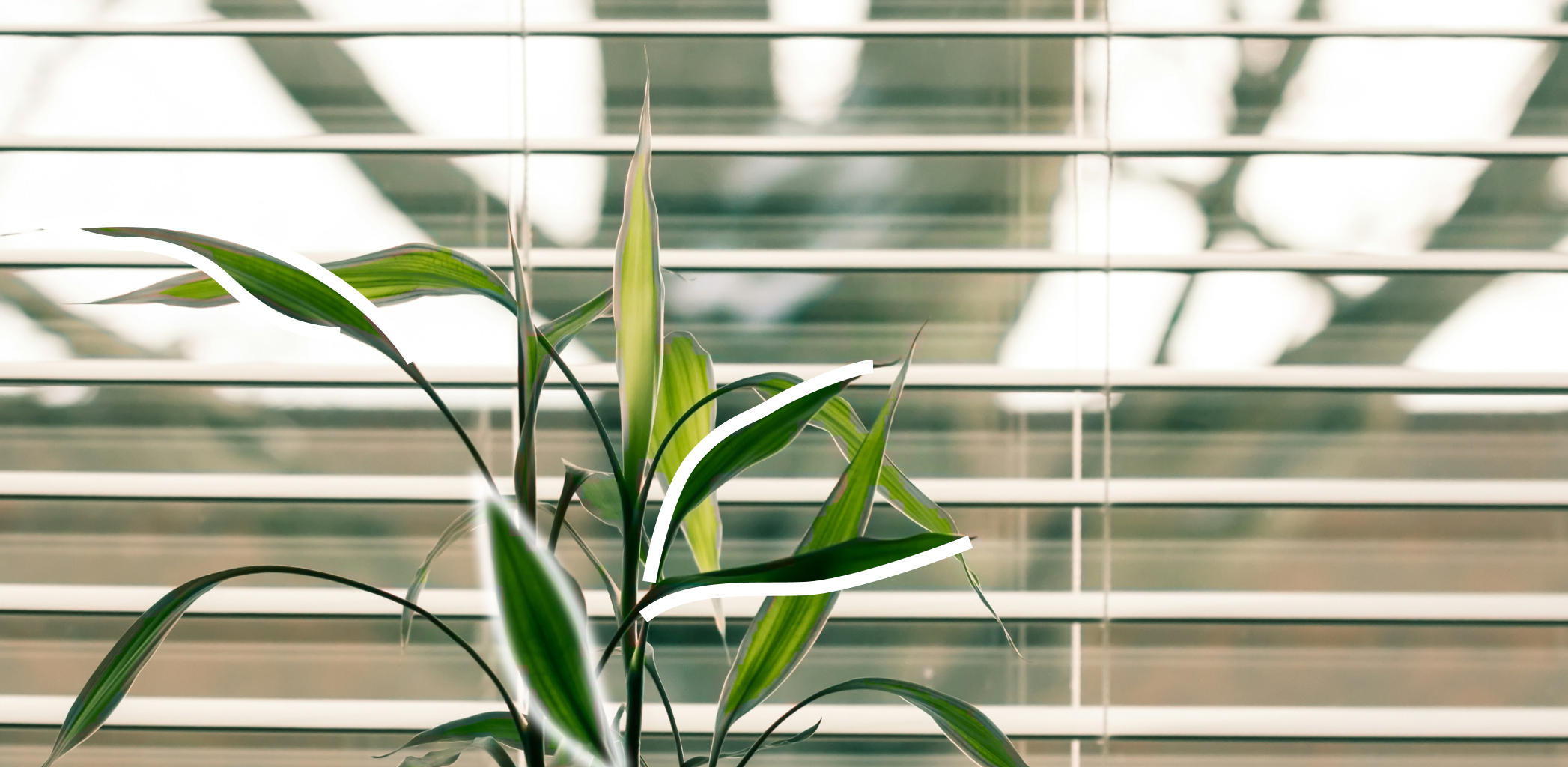 Иллюстрация к статье - Что такое аккредитив: плюсы и минусы Что такое аккредитив: плюсы и минусы