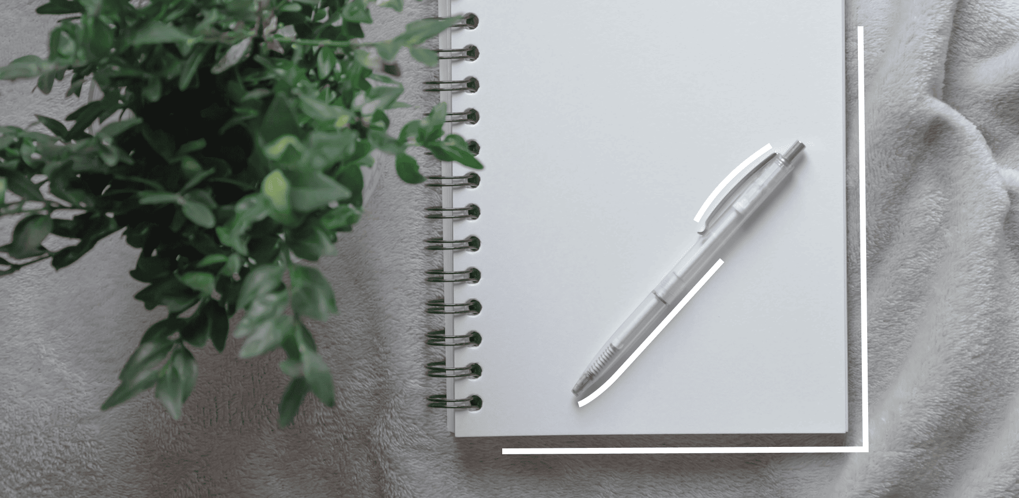 Как узнать лицевой счет квартиры