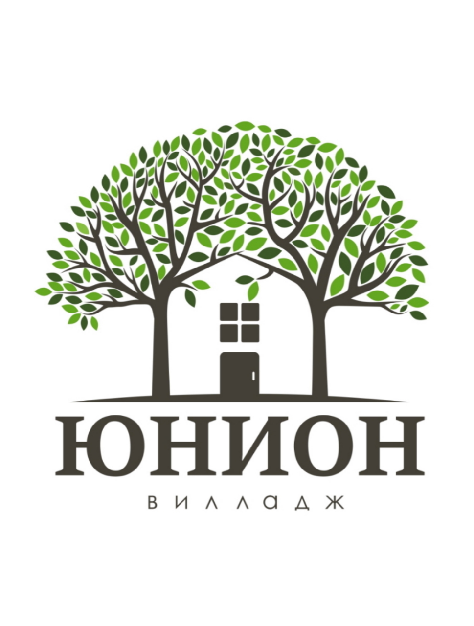 ШИЯНОВ ВАЛЕРИЙ ИВАНОВИЧ (ИП) лого