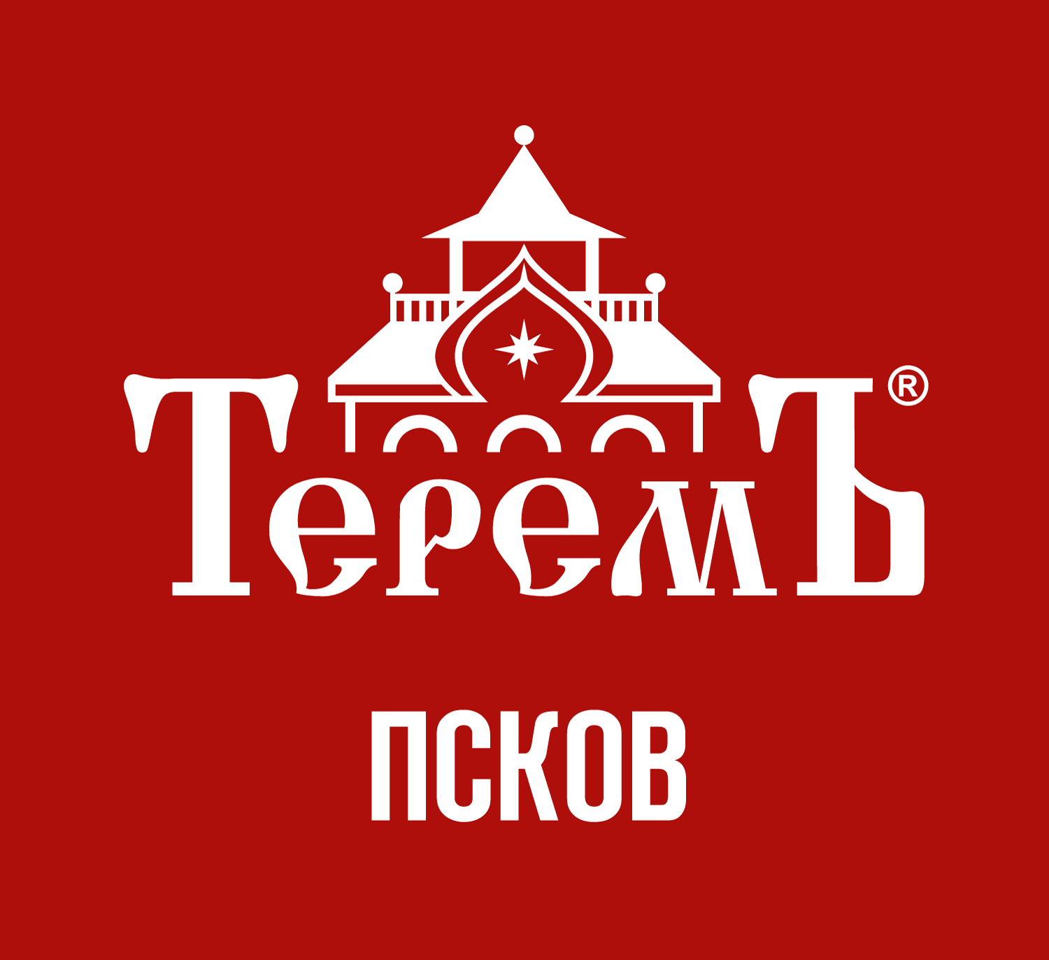 ООО "ТЕРЕМЪ 60" лого