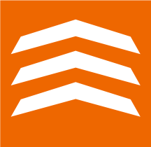 ООО "ССГ" лого