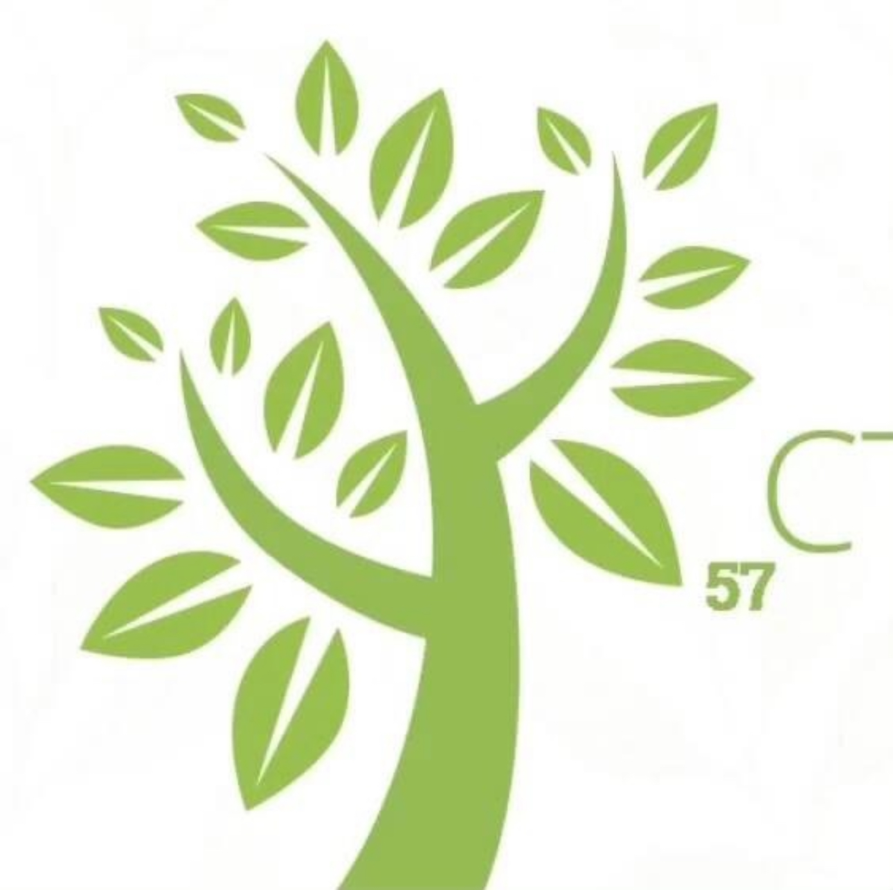 ИП Сигачев Виктор Георгиевич лого