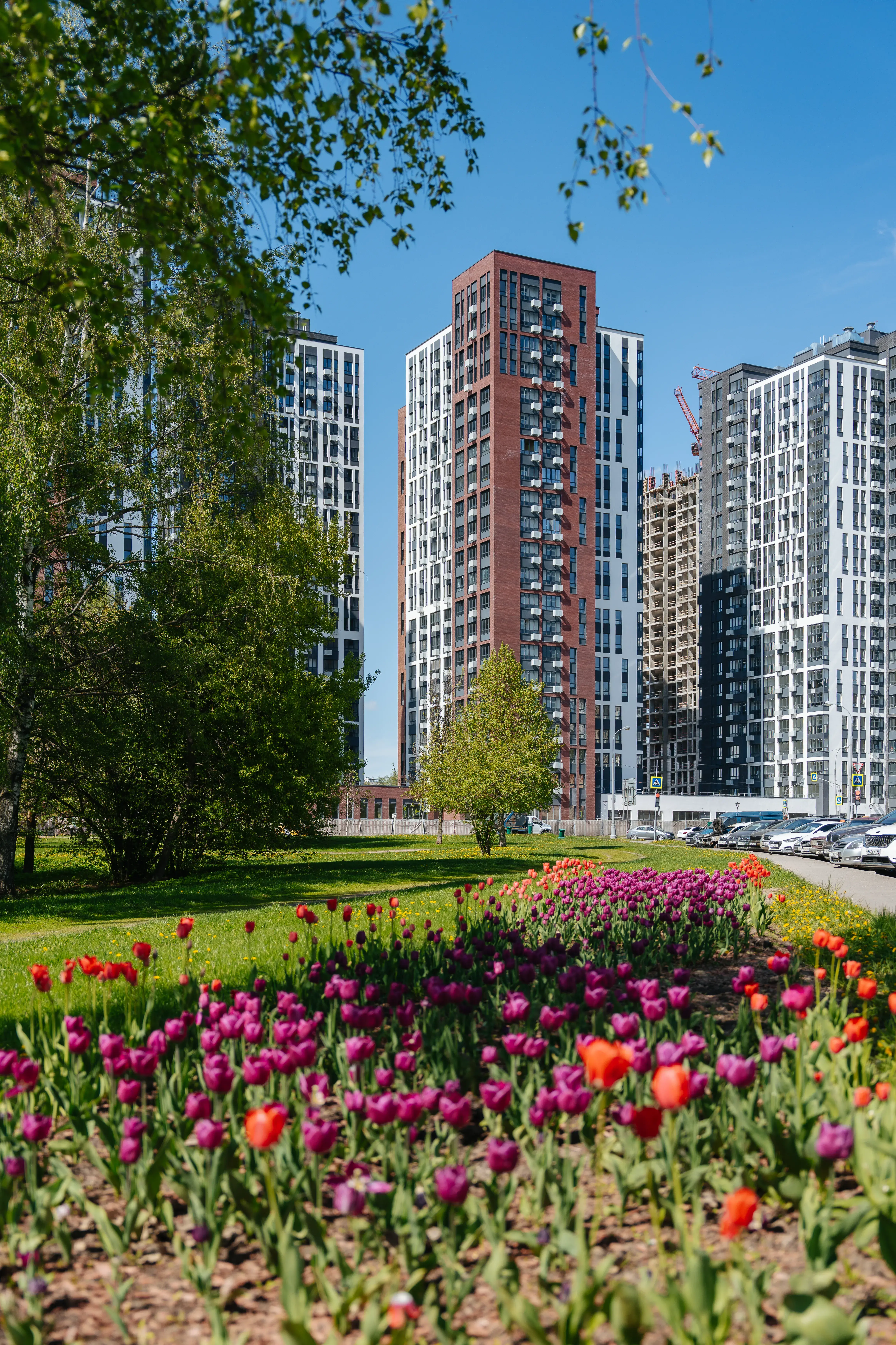 ЖК «Южные сады»